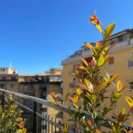 Terrazza L Emiro Casa Vacanze Palermo